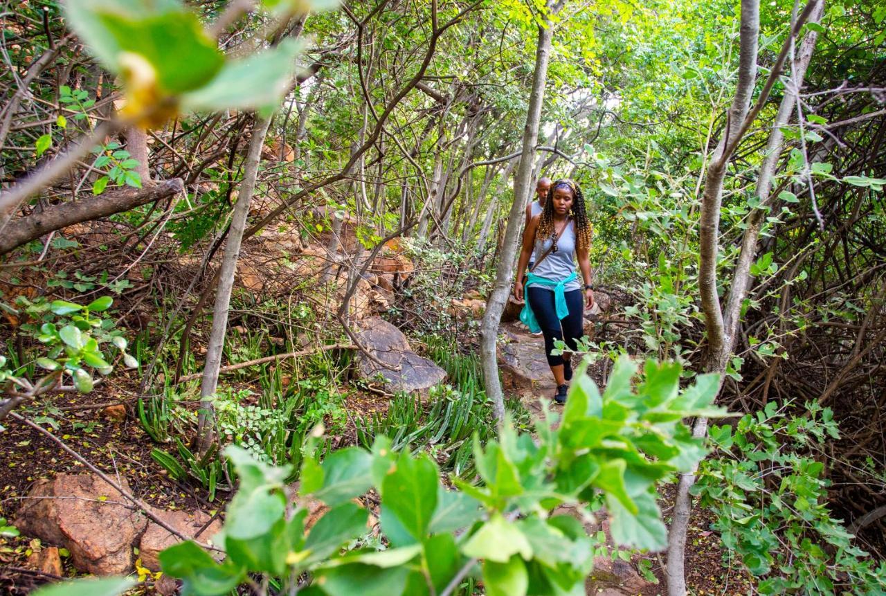 The Cliffside Boutique Getaway Guest House Johannesburg Eksteriør bilde